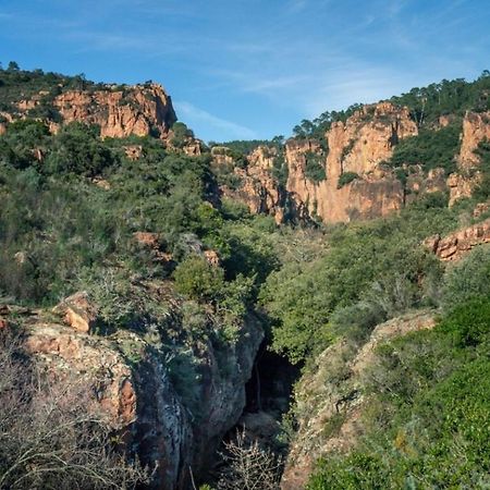 Blavet Villa Roquebrune-sur Argens Ngoại thất bức ảnh